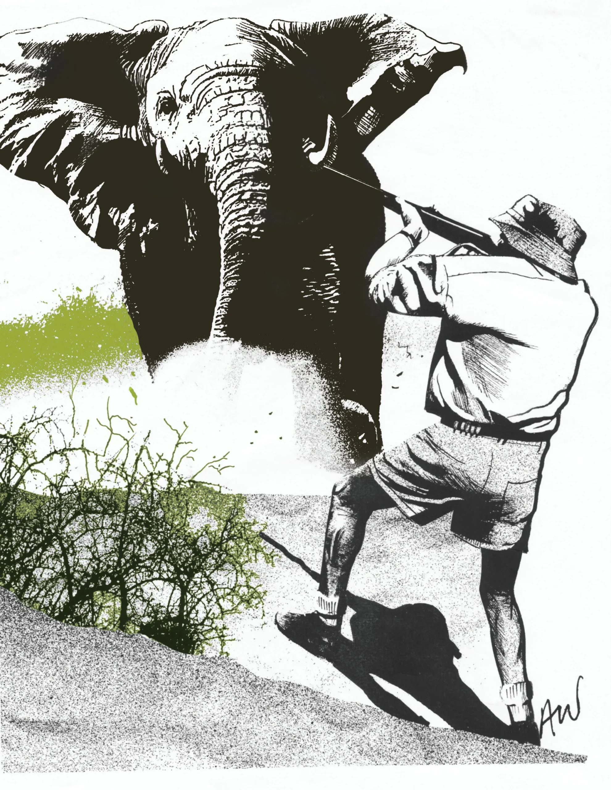 Elephant hunting