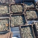 ammunition